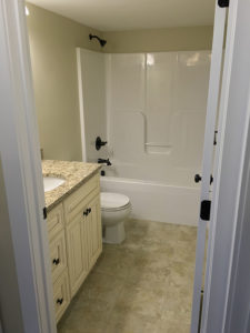 10115 Lower level bathroom